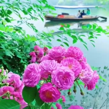 Nice lake with flower and good music