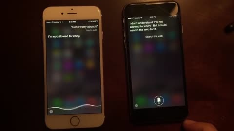 MALE AND FEMALE SIRI ARGUE'S TO EACH OTHER!