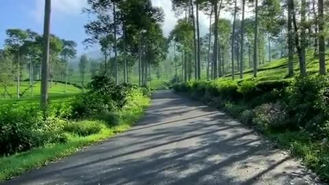 DIENG INDONESIA