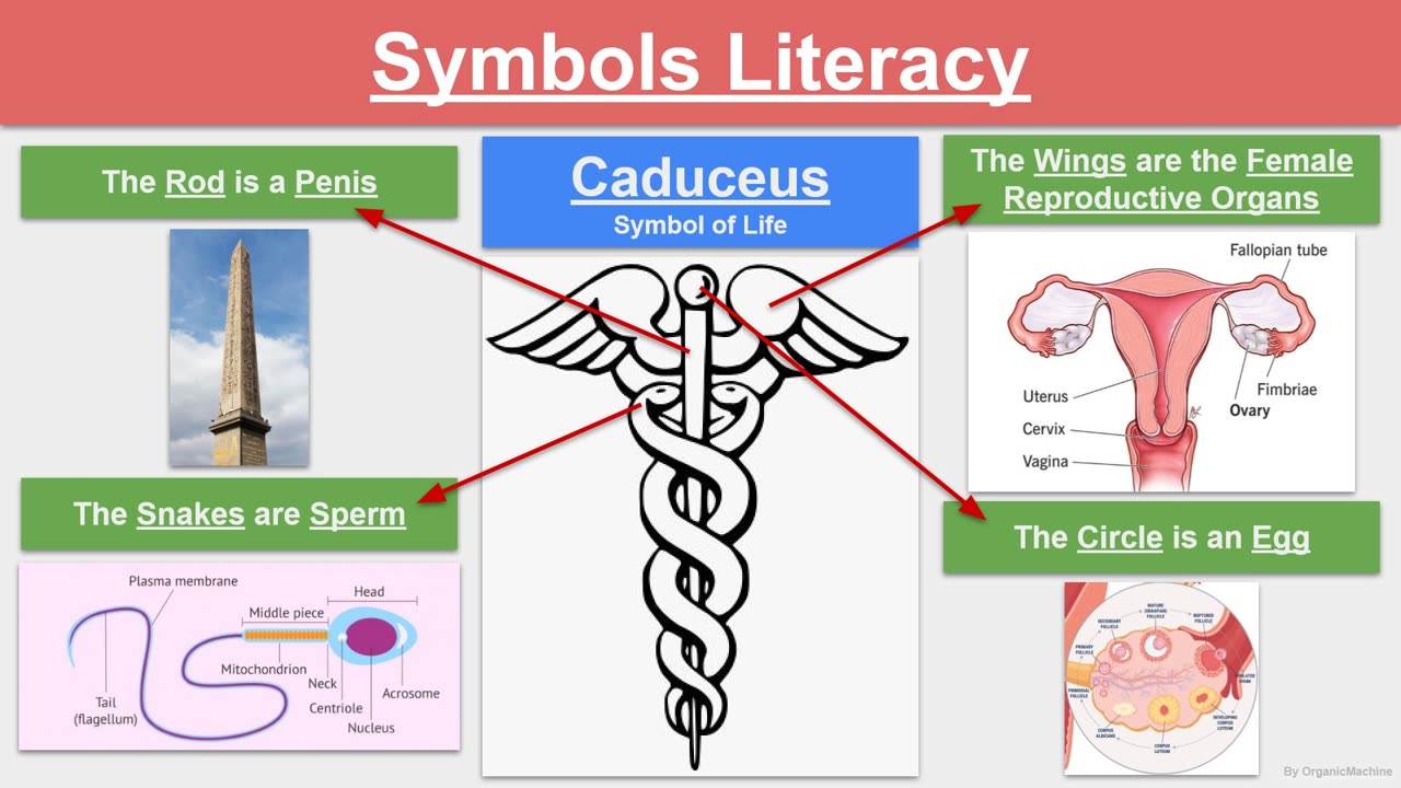 Symbols Literacy - Caduceus