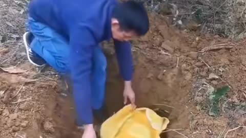 THE DOG WITH A HUMAN HEART 😱😭😭