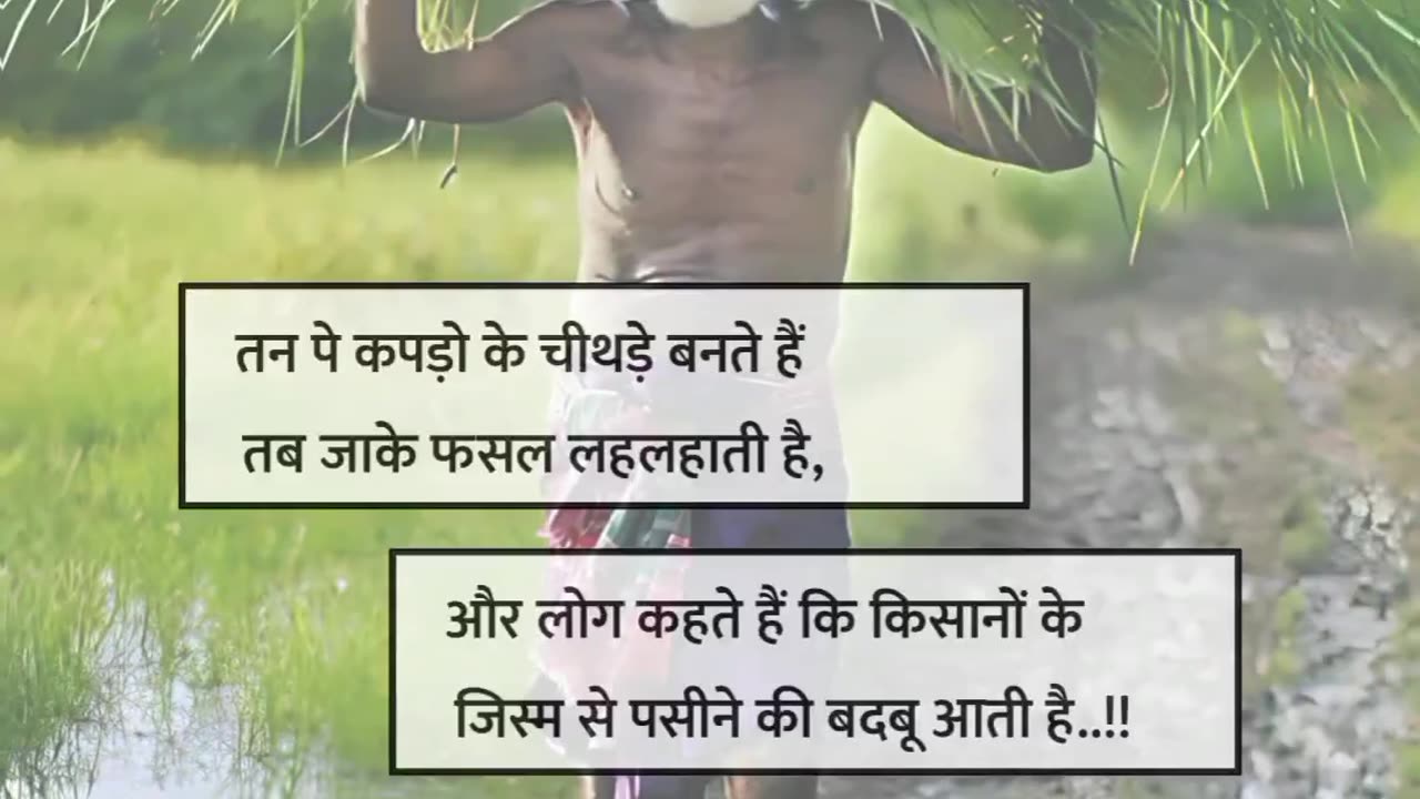True farmer