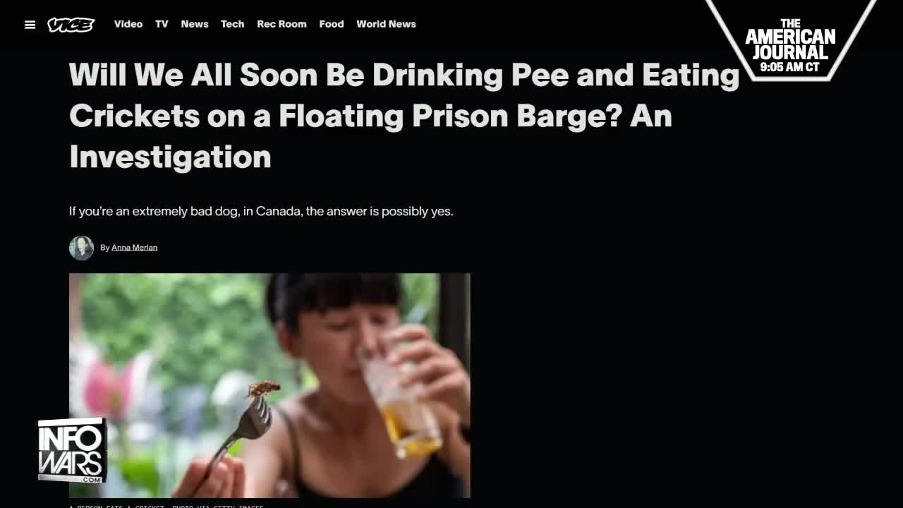 You May Already Be Eating Bugs