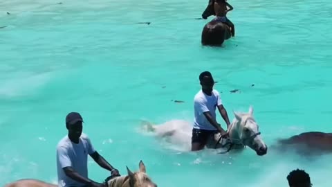 Water Horse riding