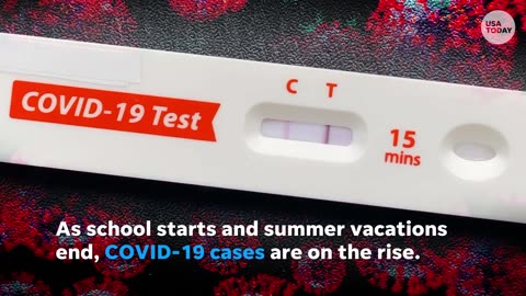 COVID cases and hospitalizations on the rise again | USA TODAY