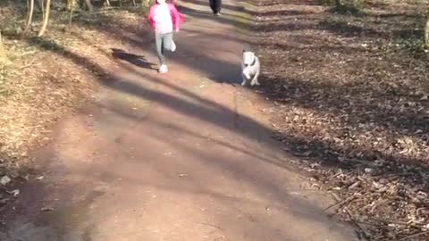 And the winner is! Dog VS Girl | Funny Dog