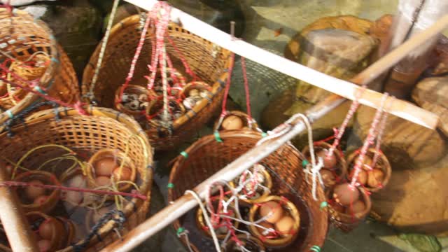 Eggs being boiled
