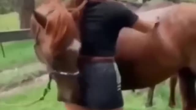 Horse kissing ladies buttocks