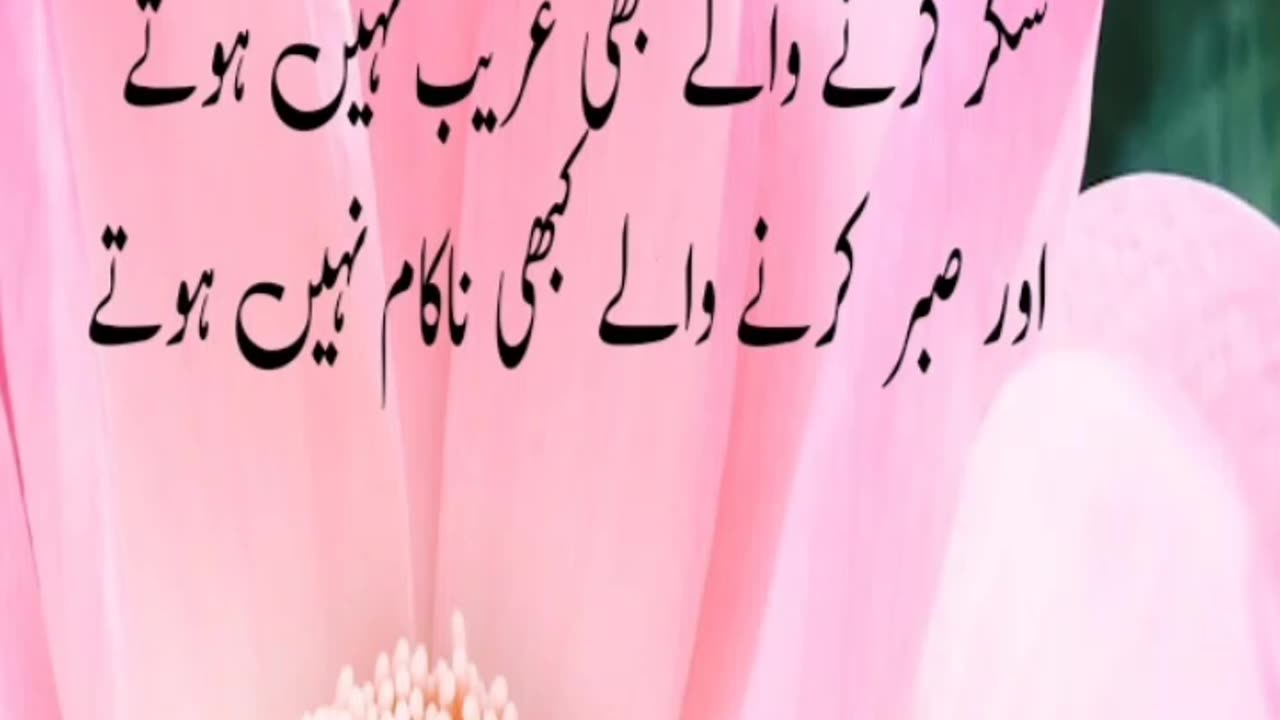 Urdu quotes hazrat Ali ke aqwal