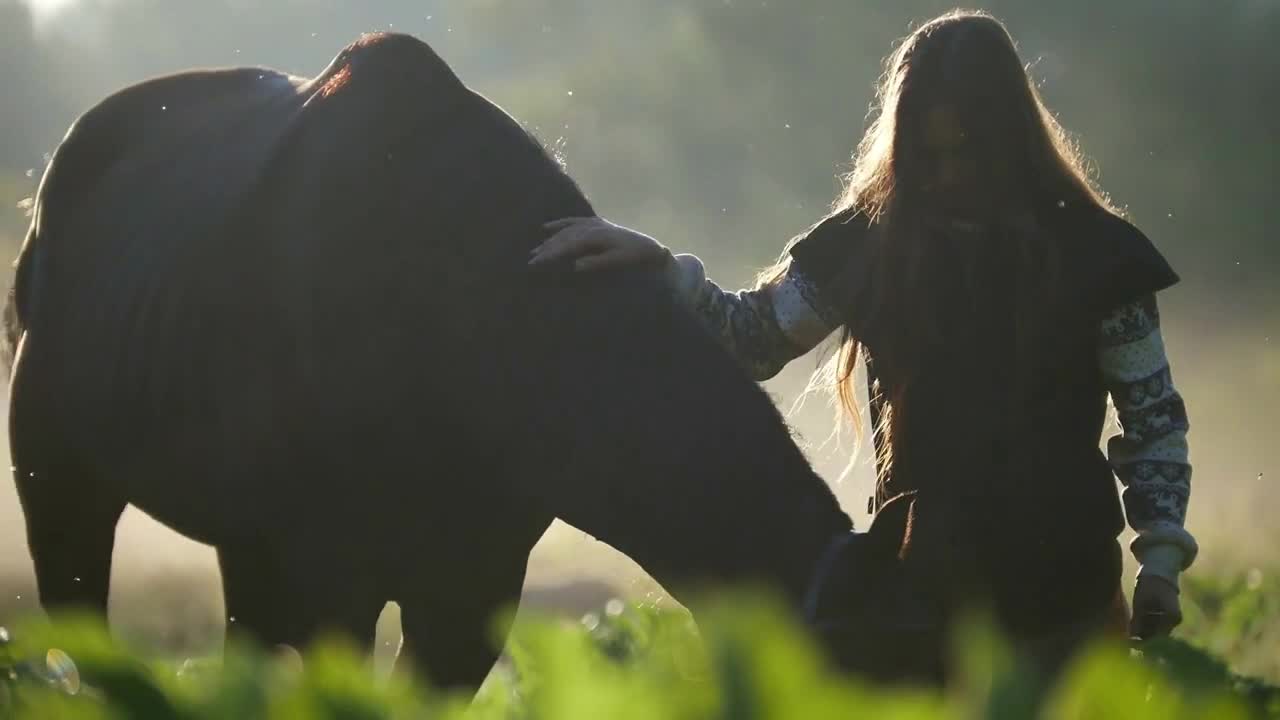 Beautiful girl with long hair stroking the horse in the rays of the delightful morning sun