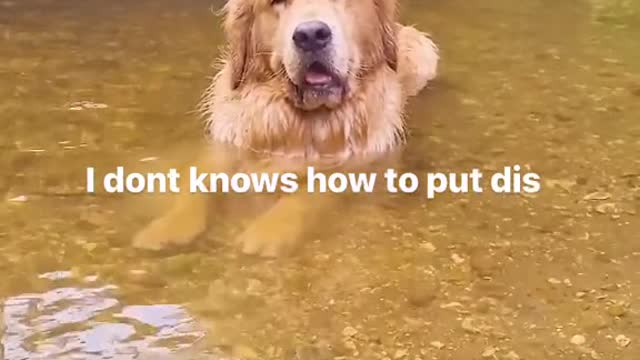 When asked why you won't get out the water?