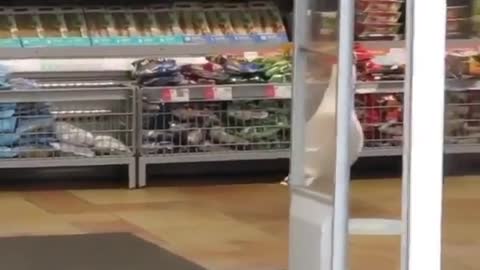 PÁSSARO ROUBA O SUPERMERCADO 🐦