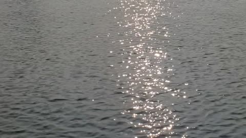 Thru-Flow Pier Decking
