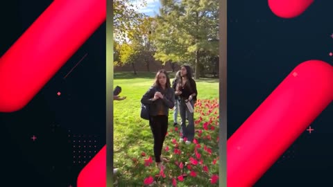 Students Mock And Destroy Anti-Abortion Displays At Universities