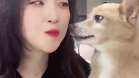 Funny dog video #2