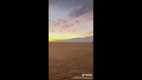 Paratroopers