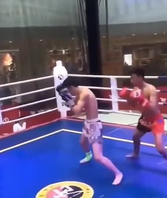 Boxer Hits referee instead