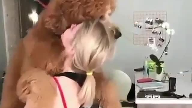 Funny Dog Videos 2021 It's time to LAUGH with Dog's life152