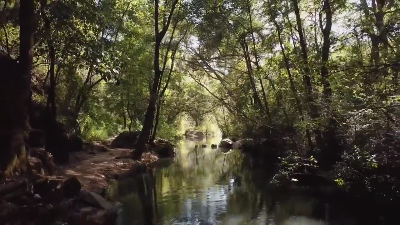 Natural place। This is a magical nature,new nature video 2021।full HD