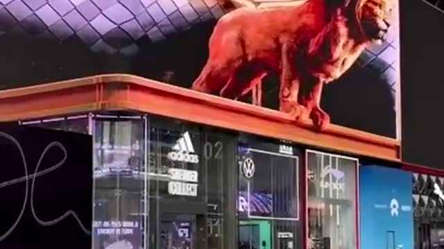 😁😁😁😁
