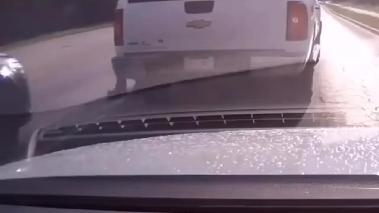 Should've stayed in the truck.