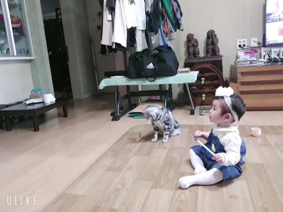 A baby playing with a cat.