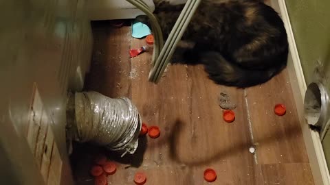 Boots goes on a toy hunt
