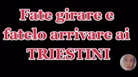 🔴Attenzione per il porto di Trieste, informazioni importanti ma da prendere con le pinze