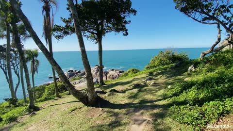 Trilha da Praia do Biguá _ Bombinhas SC _ Relaxing vídeo _ 4k 60fps