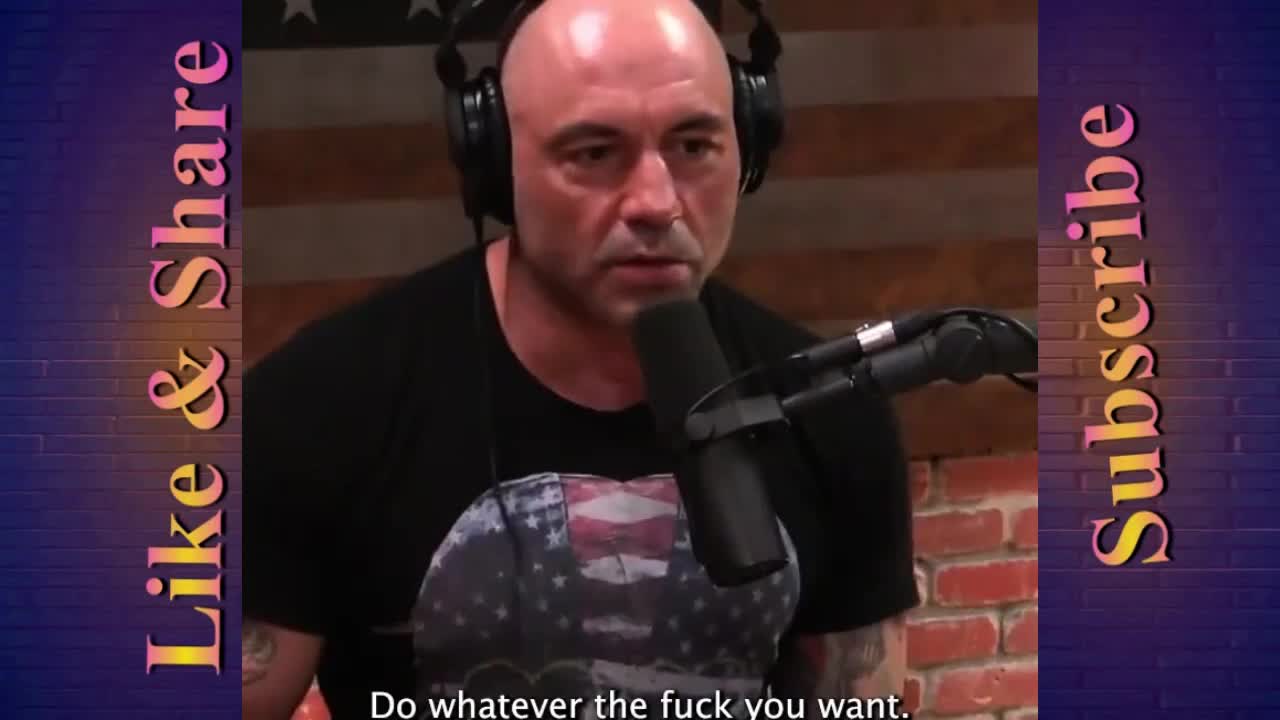Weird moment between Joe Rogan and Jordan Peterson 😂😂😂
