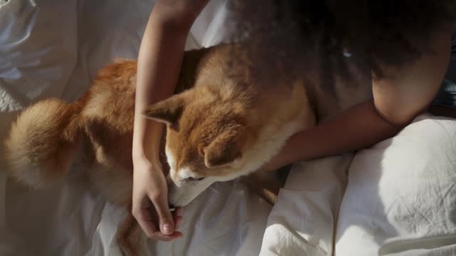 Woman Playing with her Dog