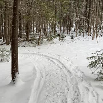 Small game sign all around