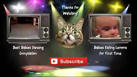 Funny babies laughing hysterically at dogs compilation