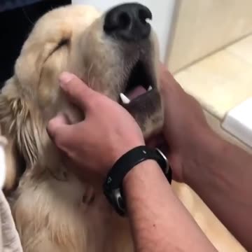 oh yeah ... that's the spot
