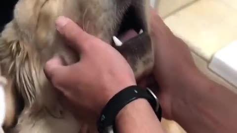 oh yeah ... that's the spot