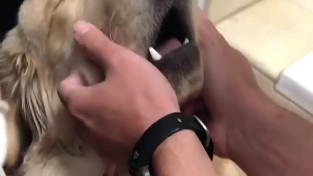 oh yeah ... that's the spot