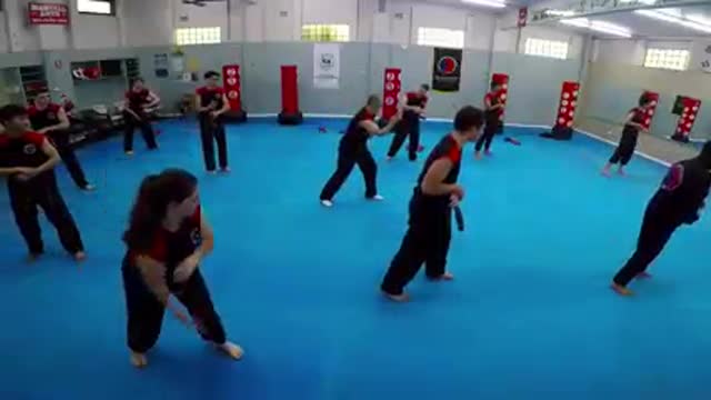 Hapkido