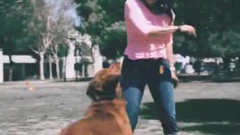 Dog and Girl Funny Video