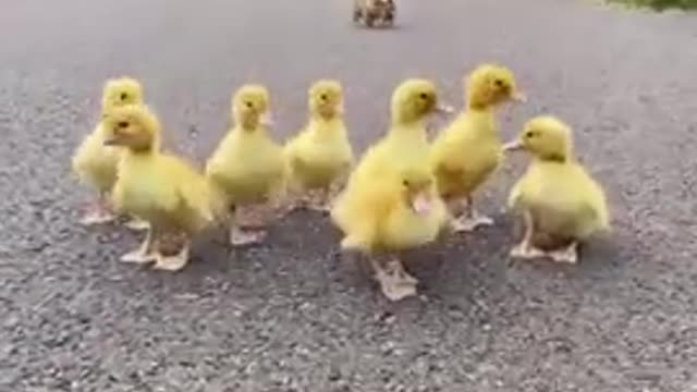 So funny