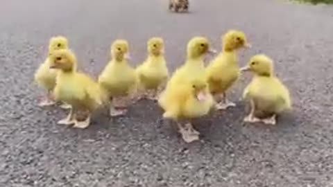 So funny