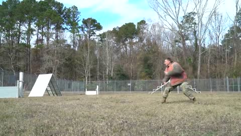 A 628th Security Forces Squadron military working dog handler B-roll SC, UNITED STAT.