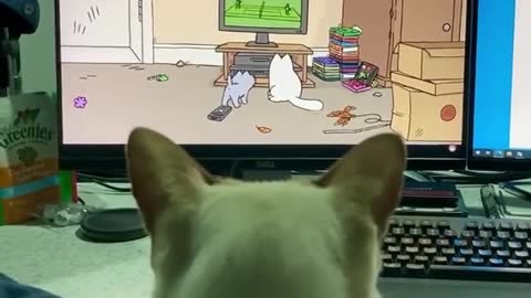 Cat watching cats in cartoon