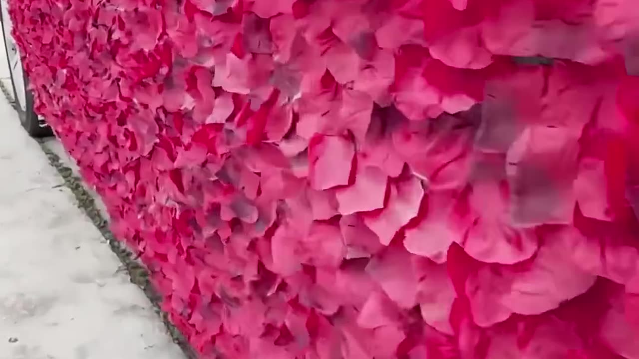 Wrapping Girlfriends Car in 1000 Roses🌹😳