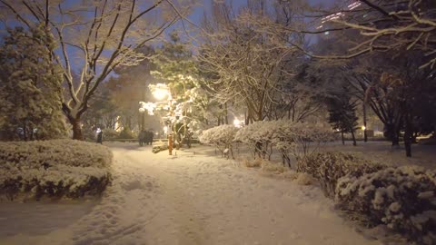 Beautiful street in snowy night.#14