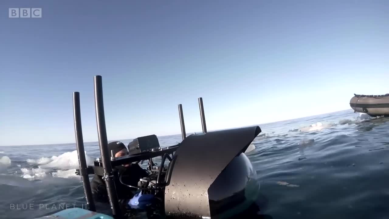 Filming Walrus With The Megadome | Blue Planet II | Behind The Scenes