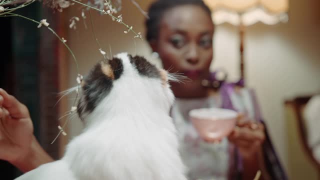 A Woman Petting A Cat While Having Tea