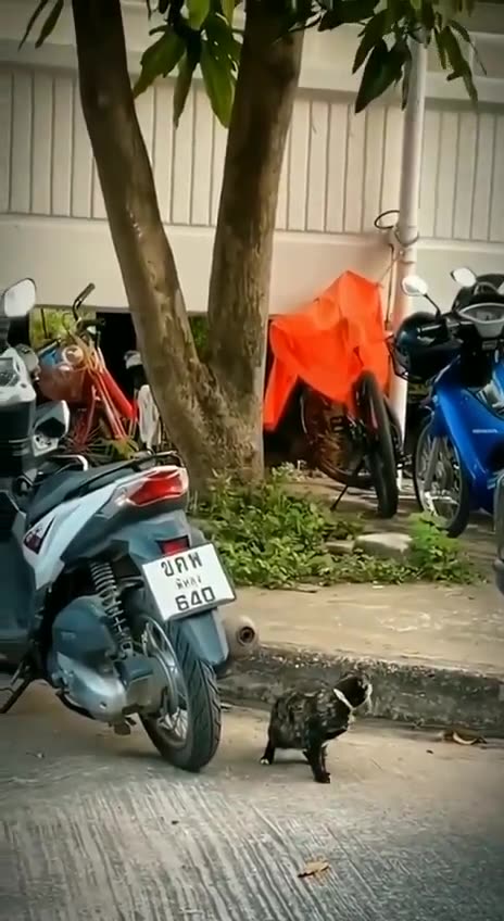 Funny moment 🤣🤣