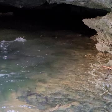 2nd largest Missouri spring *Greer Spring*220 million gallons daily*