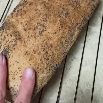 Still warm homemade bread