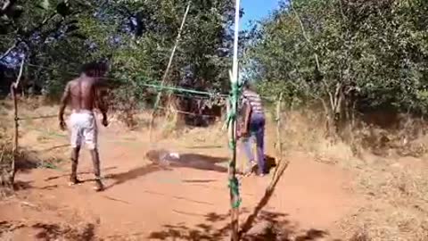 Wrestling rural entertainment